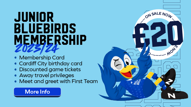 Join Us In The Bluebirds Forum - Vital Cardiff